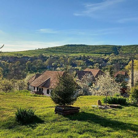 Siklod. Csaba Vendeghaz Hotel Buitenkant foto