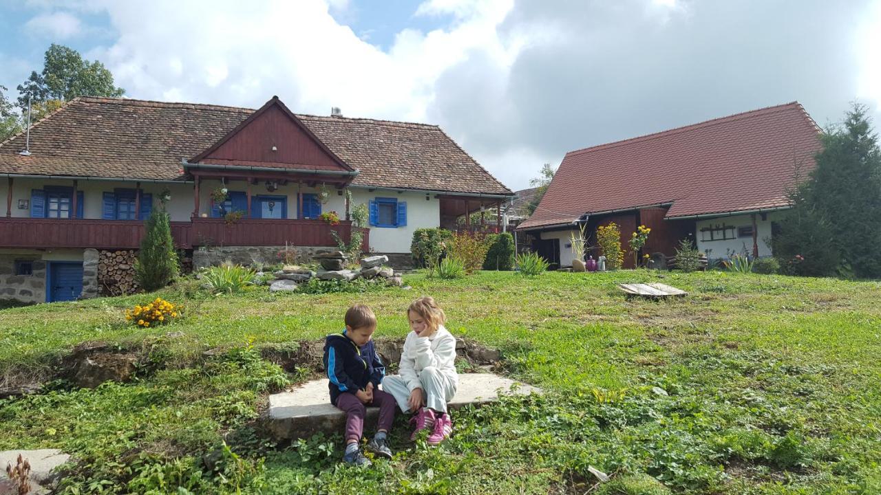 Siklod. Csaba Vendeghaz Hotel Buitenkant foto