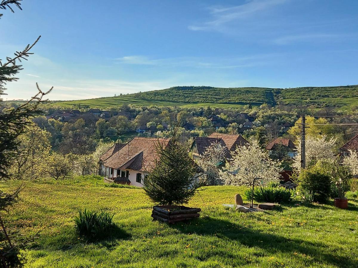 Siklod. Csaba Vendeghaz Hotel Buitenkant foto