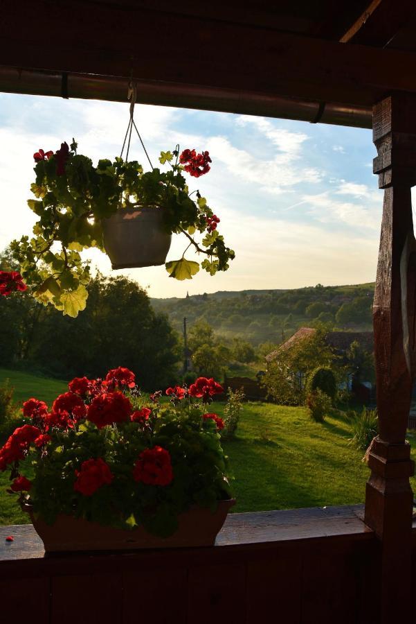 Siklod. Csaba Vendeghaz Hotel Buitenkant foto